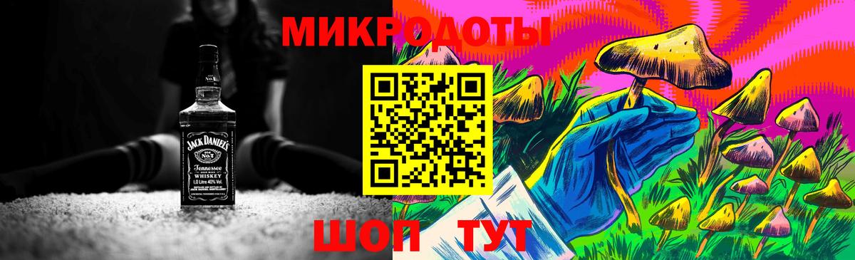 Псилоцибиновые грибы Psilocybe Кинешма