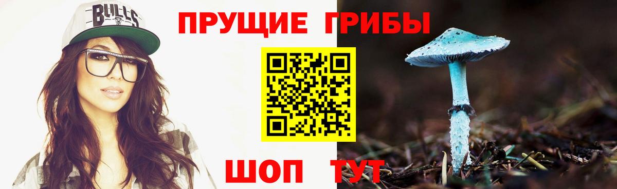 Псилоцибиновые грибы GOLDEN TEACHER  Вход с VPN  Кинешма 